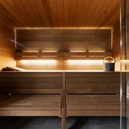 De Luxe Avec Espace Bien-etre - 14 Pers, Sauna, Cheminee - Fr-1-690-38 木屋 *